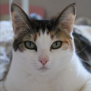 Meet your Posher, Rory